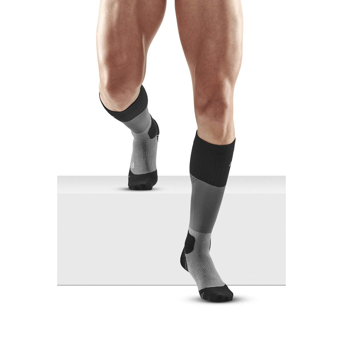 Max Cushion Socks Hiking Tall men
