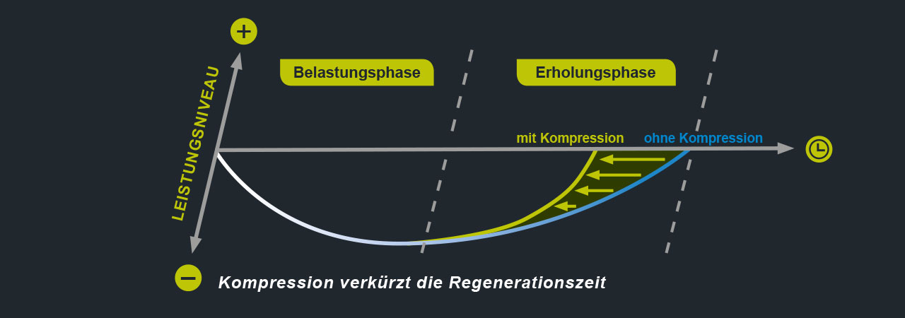 Belastungs- und Erholungsphase