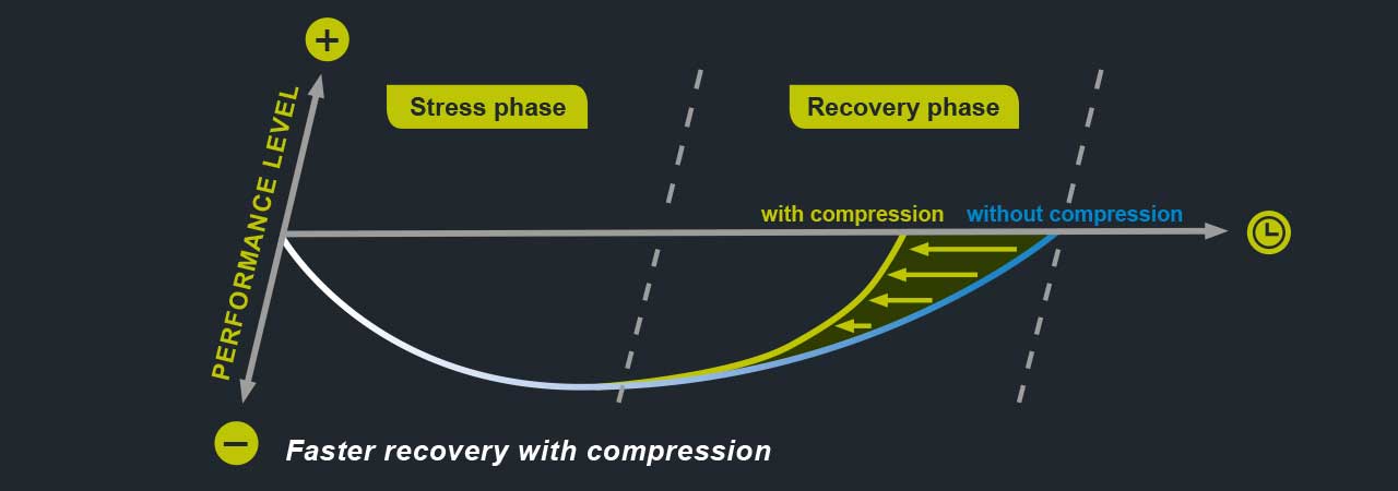 STRESS AND RECOVERY PHASE